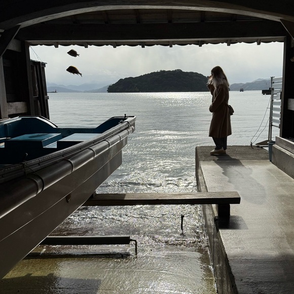 Meet your Posher, Natty - Picture 1 of 1